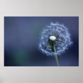 Blown Away Poster (Voorkant)