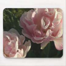 Blozen bloemblaadjes Delight