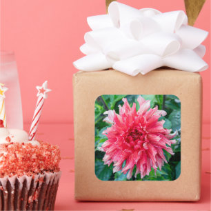 Blozende Dahlia – Zachte Bloemblad Harmonie Vierkante Sticker