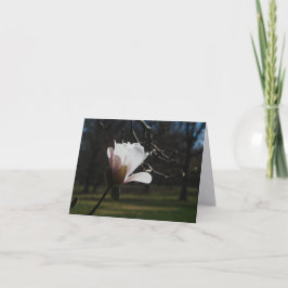 Blozende Magnolia Bloesem Fijne Kunst Notitiekaart