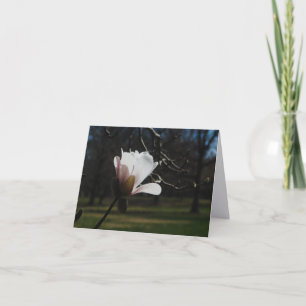 Blozende Magnolia Bloesem Fijne Kunst Notitiekaart