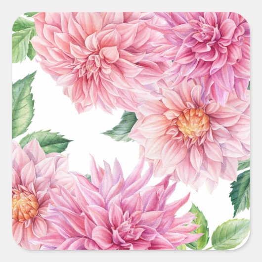 Blozende Roze Aquarel Dahlia Bloemenpatroon Vierkante Sticker (Voorkant)