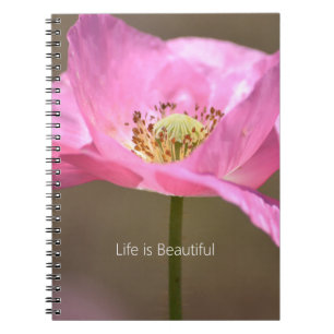 Blozende Roze IJslandse Papaver Bloem (mijn fotogr Notitieboek
