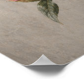 Blozende Roze Pioen met Knop Botanisch Poster (Hoek)