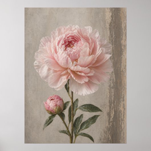 Blozende Roze Pioen met Knop Botanisch Poster (Voorkant)