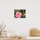 Blozende Roze Roos Macro Poster (Keuken)