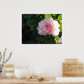 Blozende Roze Roos Poster (Keuken)