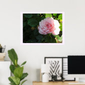 Blozende Roze Roos Poster (Thuiskantoor)