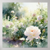 Blozende Roze Tuinrozen Poster (Voorkant)