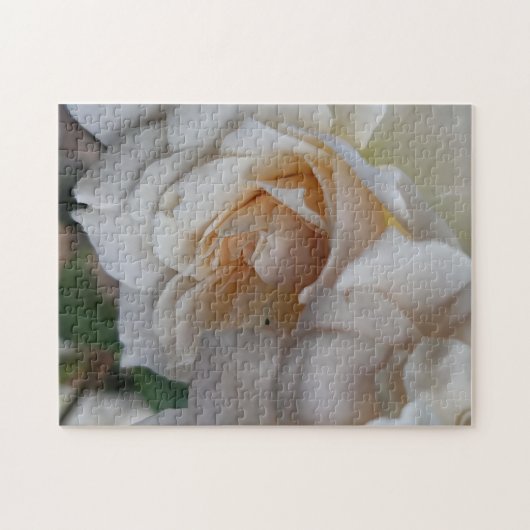 Blozende Rozen Legpuzzel (Horizontaal)