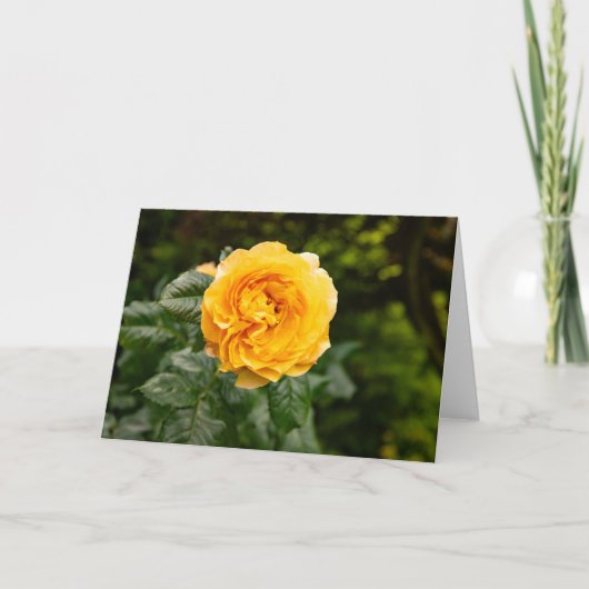 Blozende Tuin Roos Print Kaart (Voorkant)