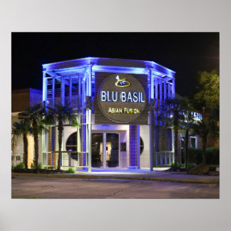 Blu Basil nachtopname Poster
