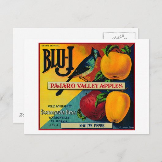 Blu-J Apple Crate LabelWatsonville, CA Briefkaart (Voorkant / Achterkant)