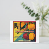 Blu-J Apple Crate LabelWatsonville, CA Briefkaart (Staand voorkant)