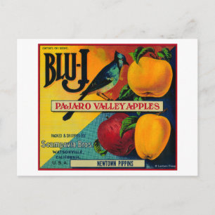 Blu-J Apple Crate LabelWatsonville, CA Briefkaart