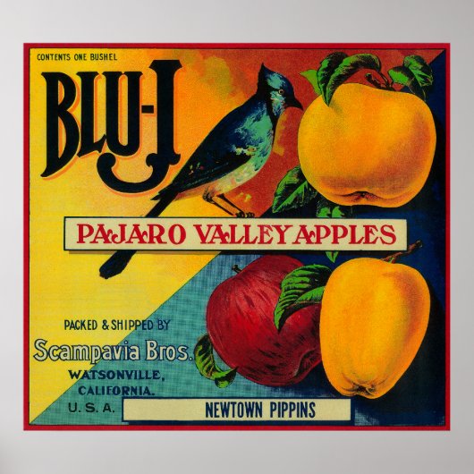 Blu-J Apple Crate LabelWatsonville, CA Poster (Voorkant)