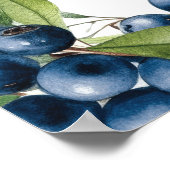 Bluberry Baby shower Poster (Hoek)