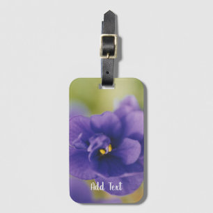 Blue African Violet Saintpaulia Bagagelabel