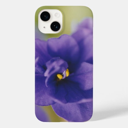 Blue African Violet Saintpaulia Case-Mate iPhone Case (Achterkant)