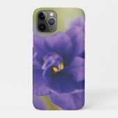 Blue African Violet Saintpaulia Case-Mate iPhone Case (Achterkant)