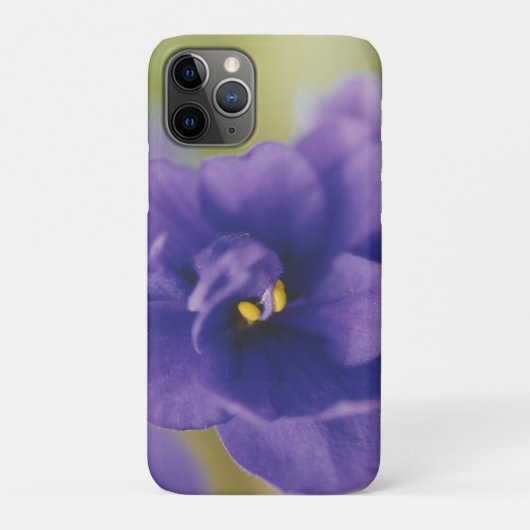 Blue African Violet Saintpaulia Case-Mate iPhone Case (Achterkant)