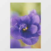 Blue African Violet Saintpaulia Raamsticker (Vel)