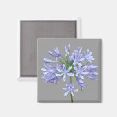 Blue Agapanthus Magneet (Voorkant / Achterkant)