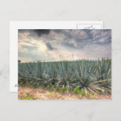 Blue Agave Briefkaart (Voorkant / Achterkant)