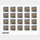 Blue Agave Fort Davis Texas Vierkante Sticker (Vel)