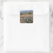 Blue Agave Fort Davis Texas Vierkante Sticker (Tas)