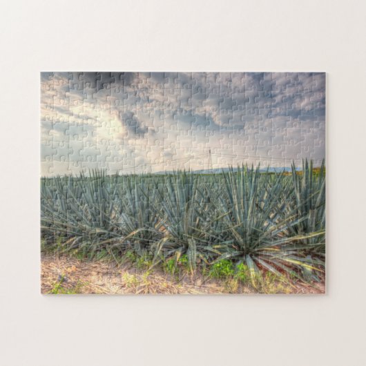 Blue Agave Legpuzzel (Horizontaal)