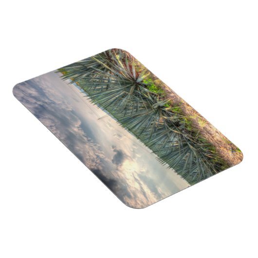 Blue Agave Magneet (Rechterzijde)