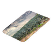 Blue Agave Magneet (Linkerzijde)