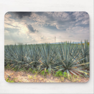 Blue Agave Muismat