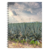 Blue Agave Notitieboek (Voorkant)