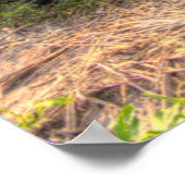 Blue Agave Poster (Hoek)