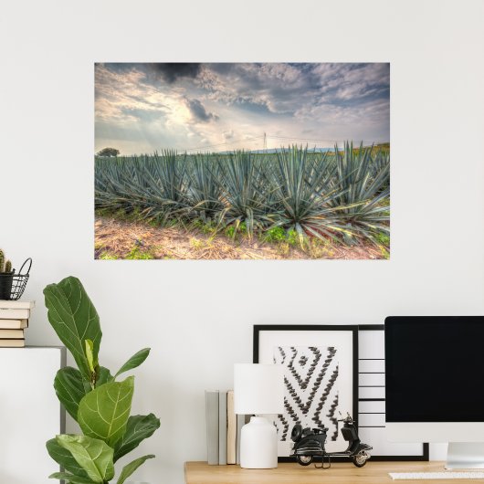 Blue Agave Poster (Thuiskantoor)