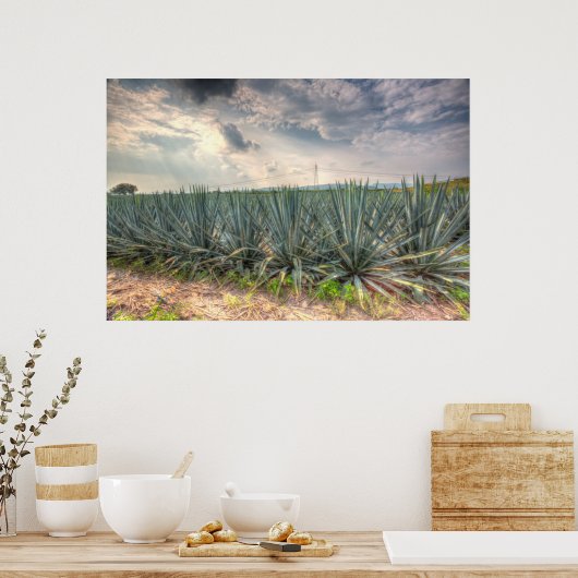 Blue Agave Poster (Keuken)