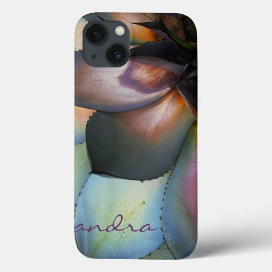 Blue Agave Succulent iPad Case *personalize* (Achterkant)