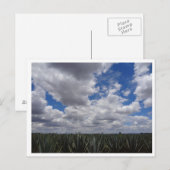 Blue Agave Tequila Paradise in Jalisco, Mexico Briefkaart (Voorkant / Achterkant)