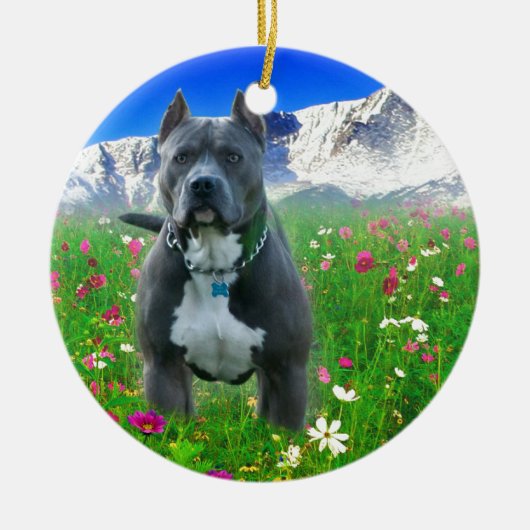 Blue American Pit Bull Terrier, Pikes Peak Keramisch Ornament (Voorkant)