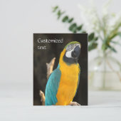 Blue and Gold Macaw Briefkaart (Staand voorkant)