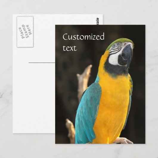 Blue and Gold Macaw Briefkaart (Voorkant / Achterkant)