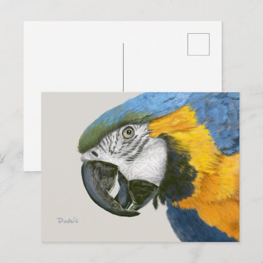 Blue and Gold Macaw Briefkaart (Voorkant / Achterkant)