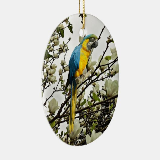 Blue and Gold Macaw Keramisch Ornament (Rechts)