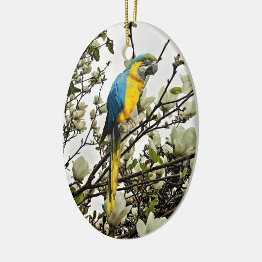 Blue and Gold Macaw Keramisch Ornament (Links)