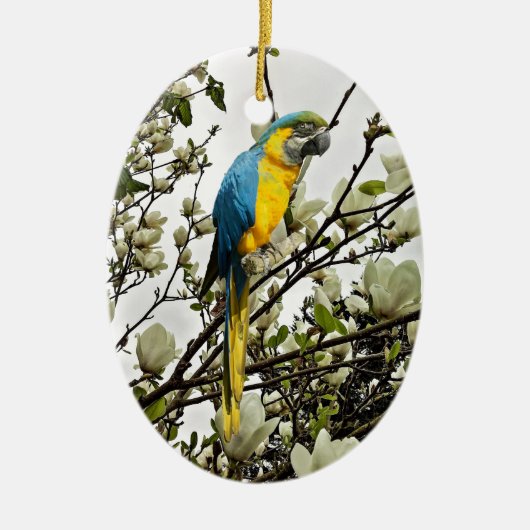 Blue and Gold Macaw Keramisch Ornament (Voorkant)