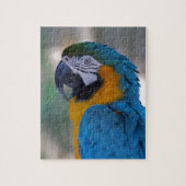 Blue and Gold Macaw Legpuzzel (Verticaal)
