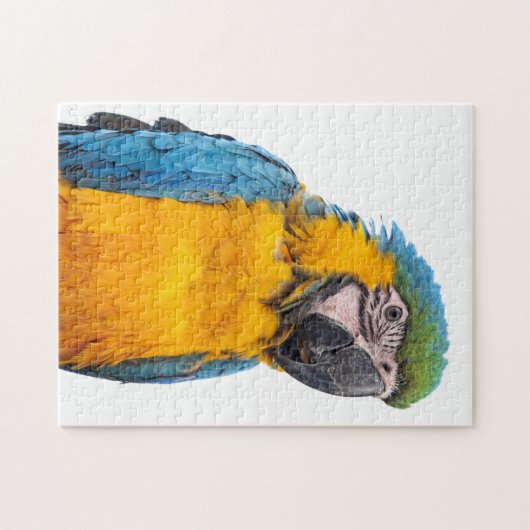 Blue and Gold Macaw Legpuzzel (Horizontaal)