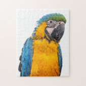 Blue and Gold Macaw Legpuzzel (Verticaal)